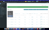 Screenshot 2021-04-16 at 09.11.02.png