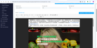 3. Company & Contact variable in email template.png